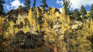 colorado-wilderness