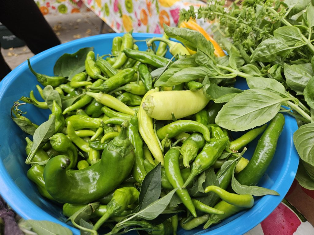 Free Farm Stand Produce in Park Hill, Denver