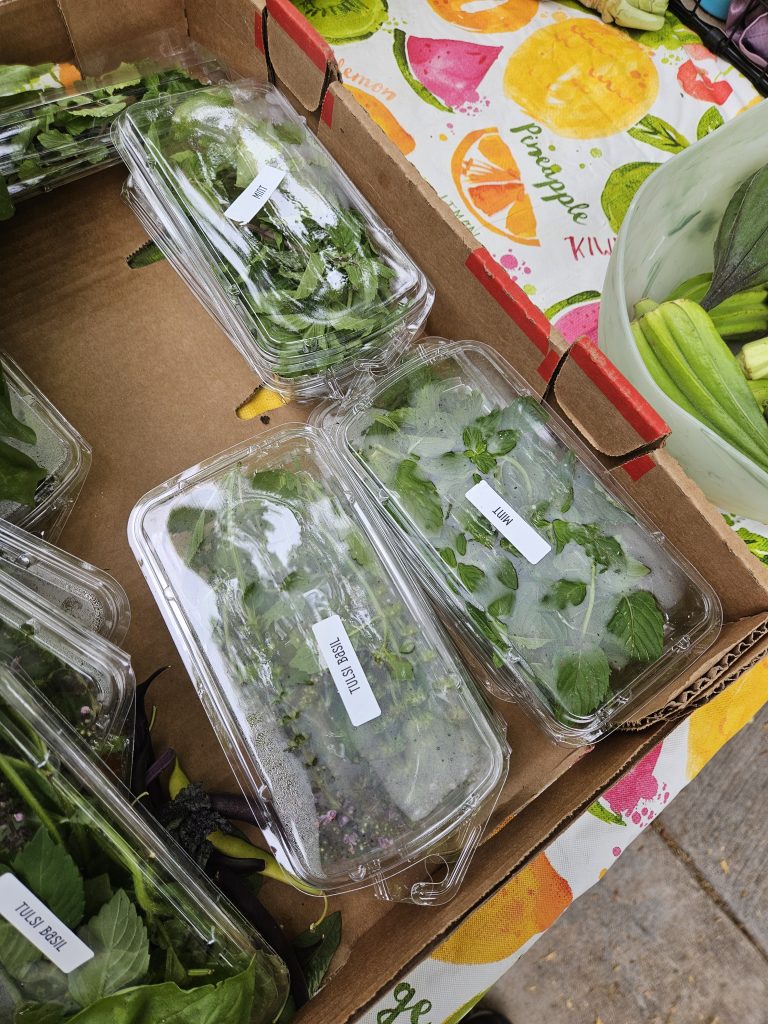 Free Farm Stand Produce in Park Hill, Denver