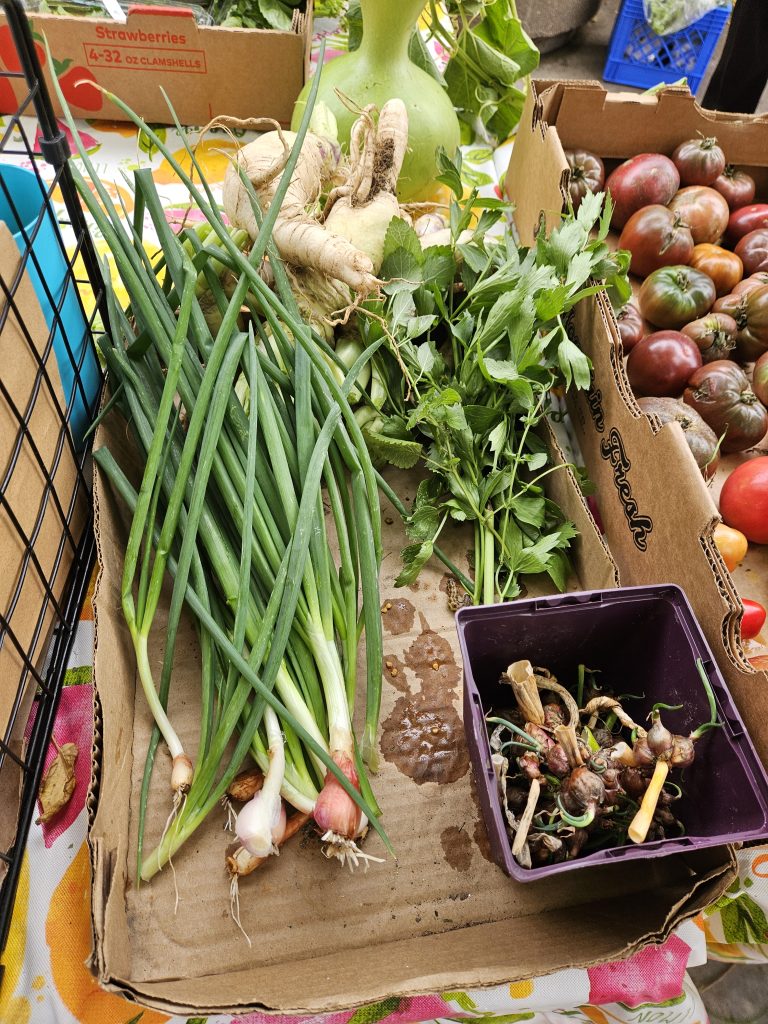 Free Farm Stand Produce in Park Hill, Denver