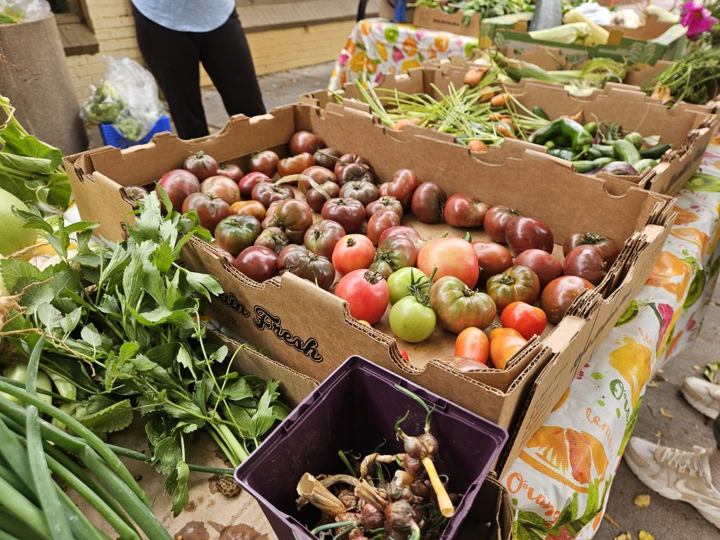 Free Farm Stand Produce in Park Hill, Denver