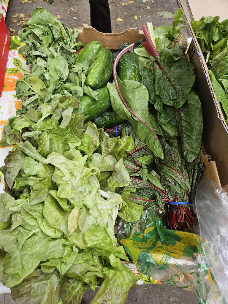 Free Farm Stand Produce in Park Hill, Denver