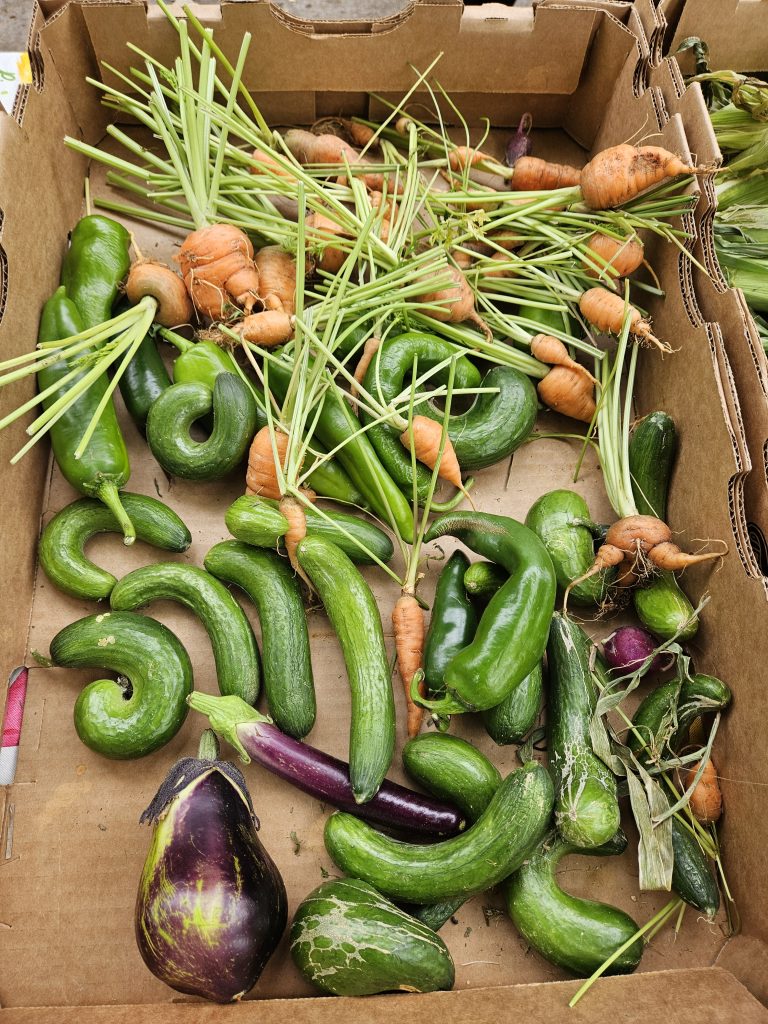 Free Farm Stand Produce in Park Hill, Denver