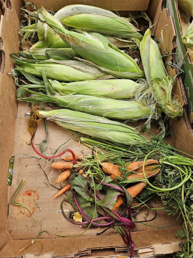 Free Farm Stand Produce in Park Hill, Denver